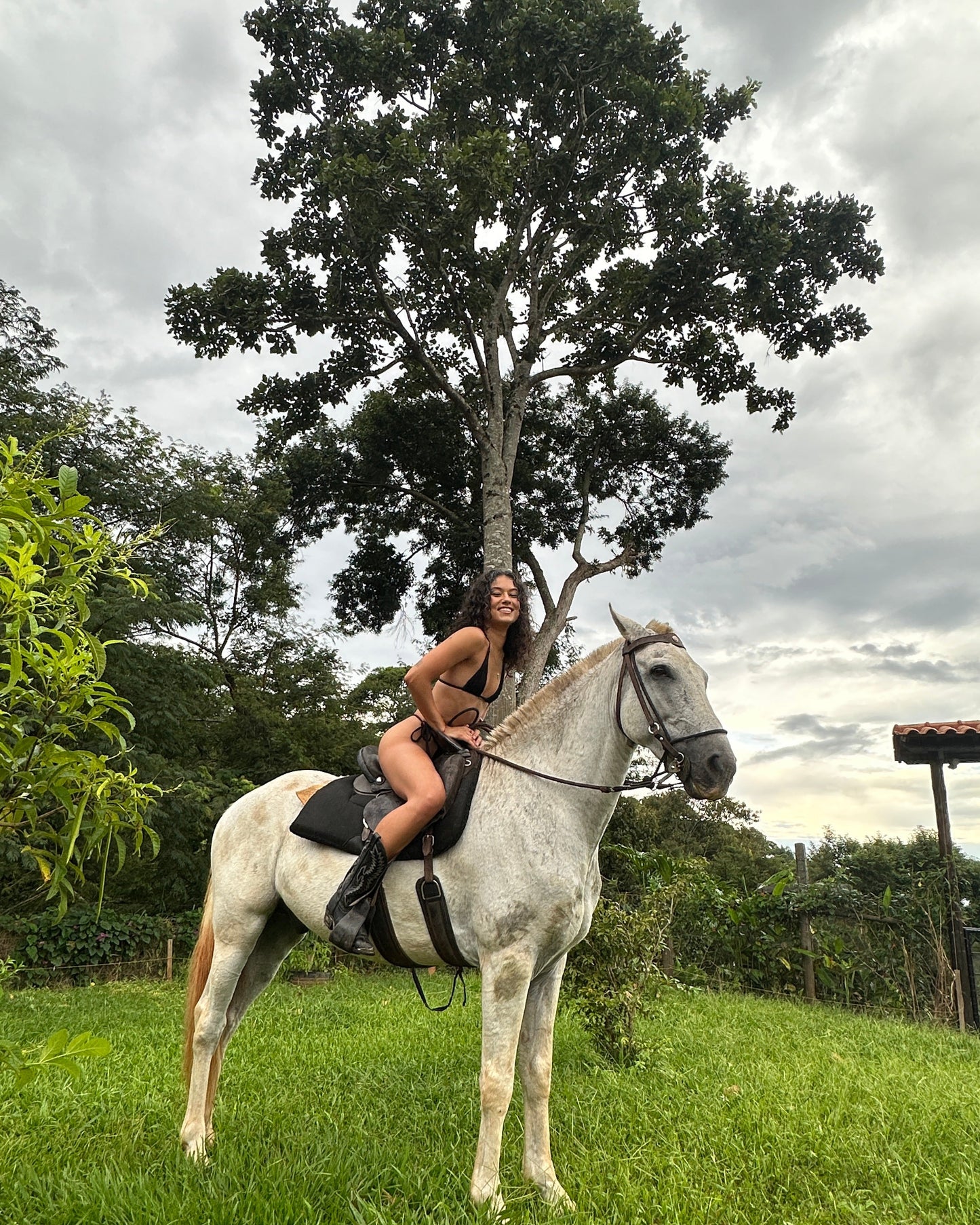 Woman sitting on a white horse in a grassy area with trees and a cloudy sky.