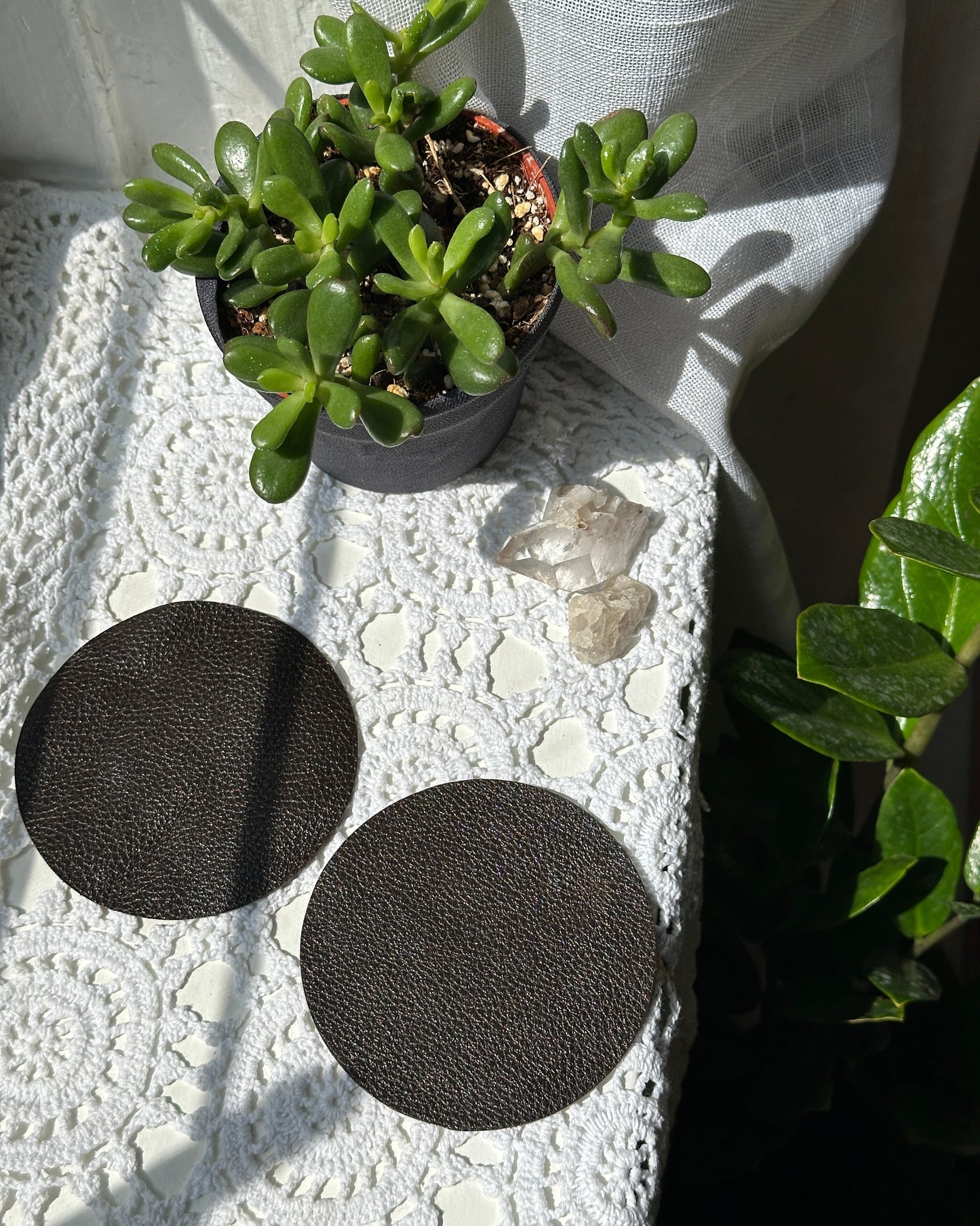 Two chocolate brown coasters on a textured surface with plants and crystals in the background