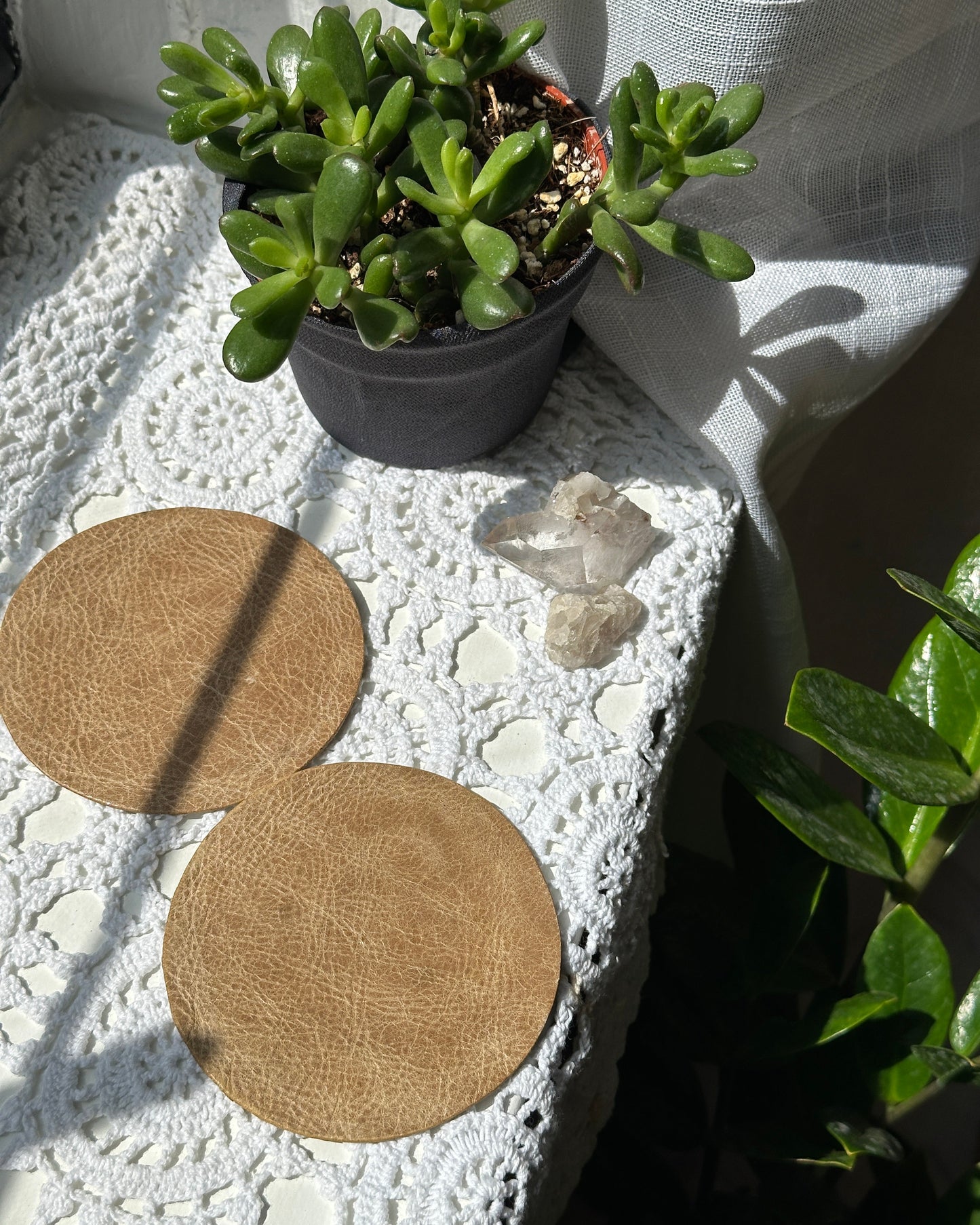 Two camel coasters on a textured surface with plants and crystals in the background